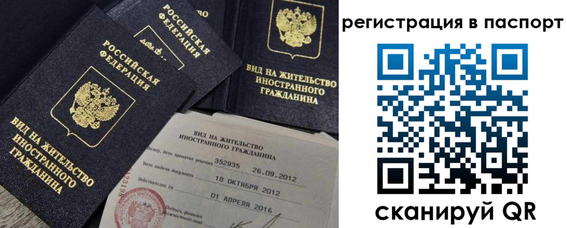 прописка 2025 в Светогорске